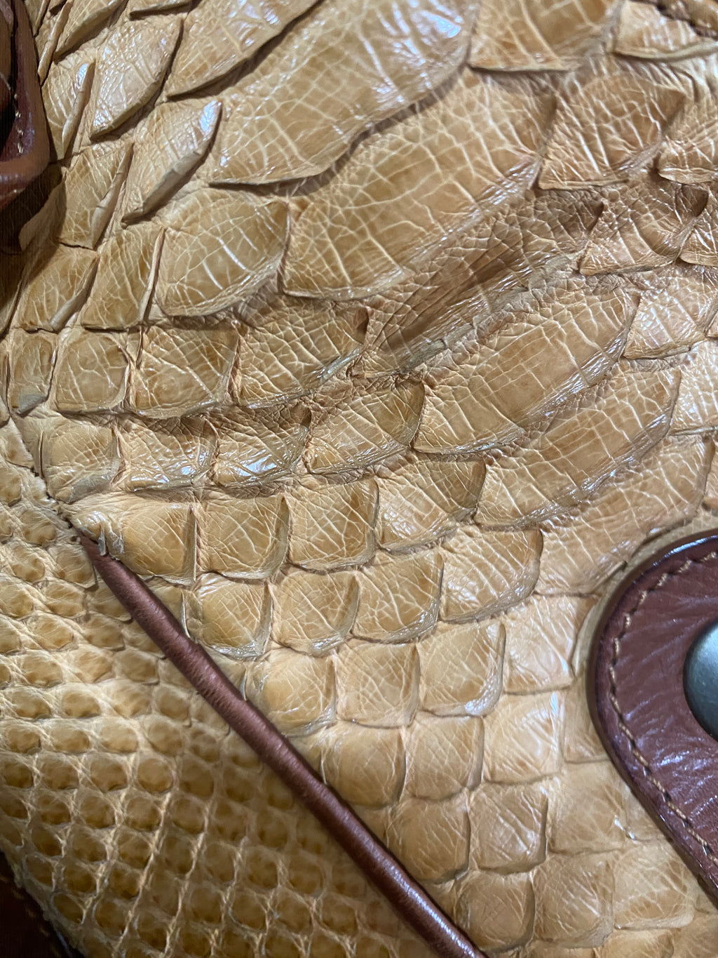 Chloe Brown Python and leather Large Silverado Bag