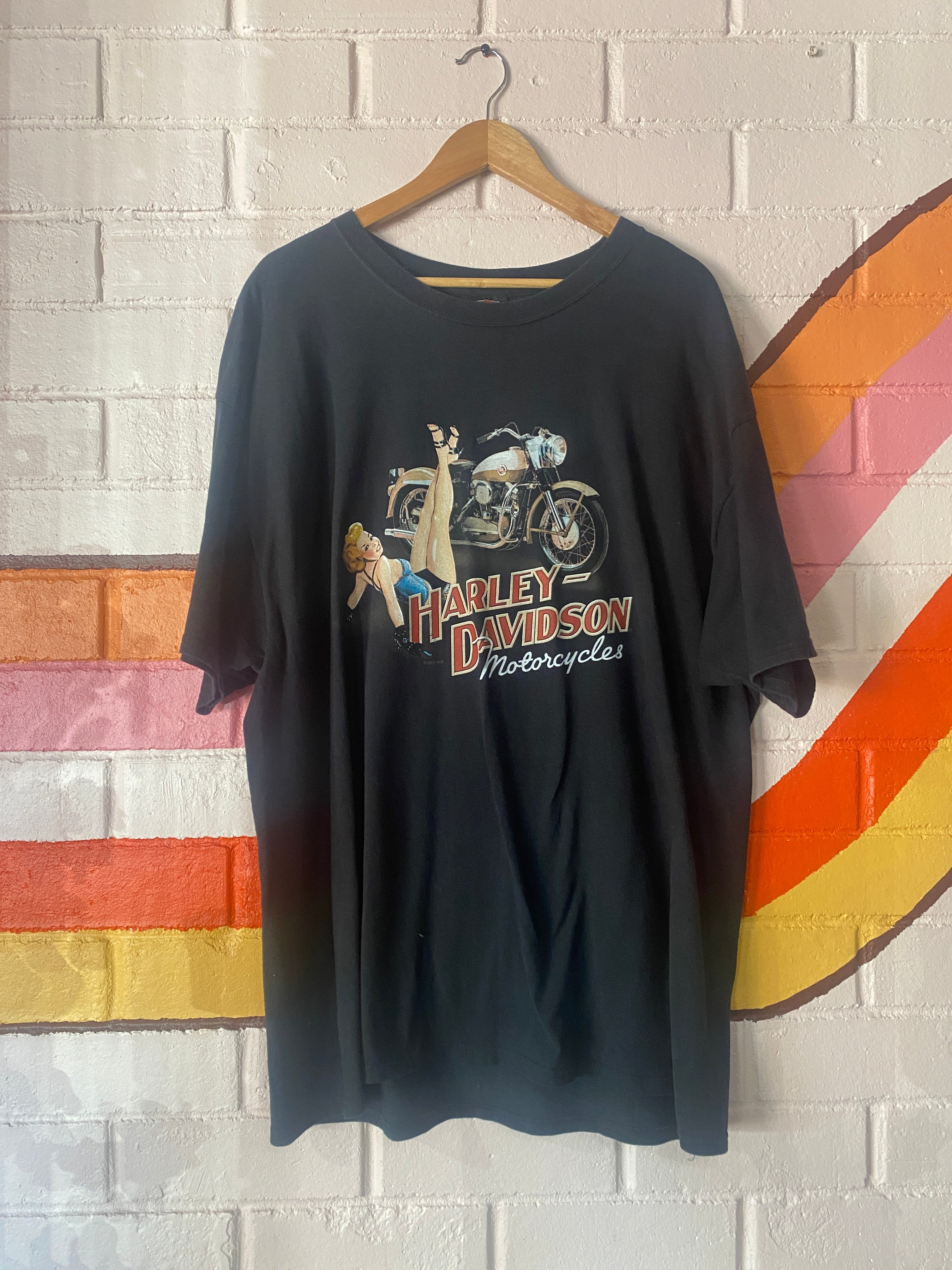 Harley Davidson Haines BEEFY Tee