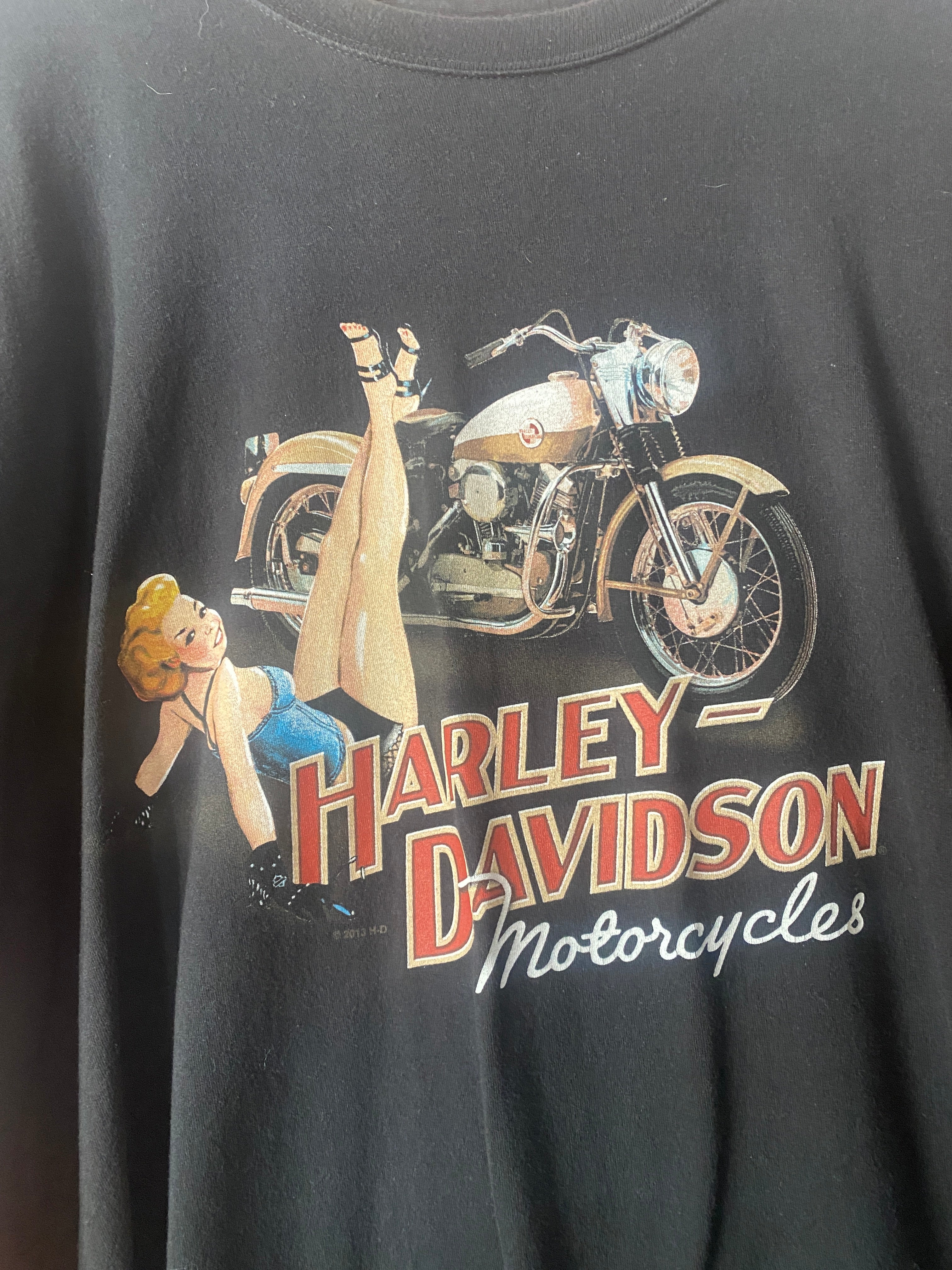 Harley Davidson Haines BEEFY Tee